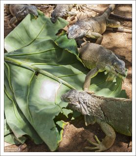 Семейный обед.