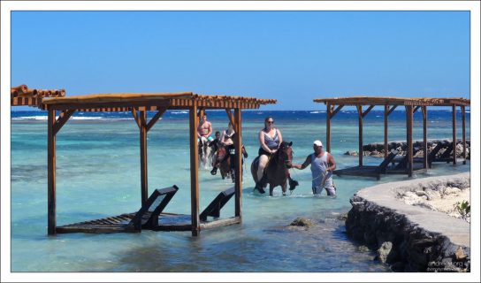 За отдельные деньги можно заказать конную прогулку по линии прибоя, снорклинг с гидом на рифе, или даже купание с ручным ягуаром.