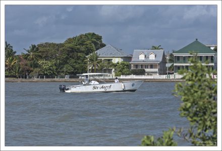 Побережье в районе Белиз-Сити.