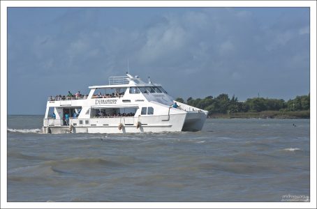Катер-тендер, перевозящий круизных пассажиров с корабля на берег.