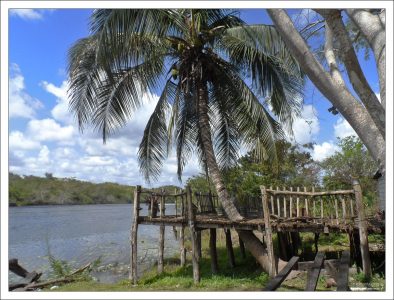 Лодочная база местной туристической конторы “Lamanai Belize tour”.