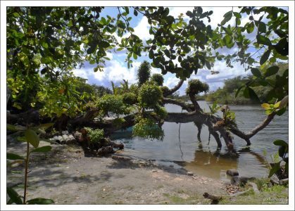 Новая река (New river, или Rio Nuevo).