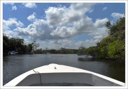 Сплав по Новой реке.