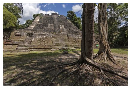 Самая высокая в Ламанаи пирамида - High Temple (33 метра).