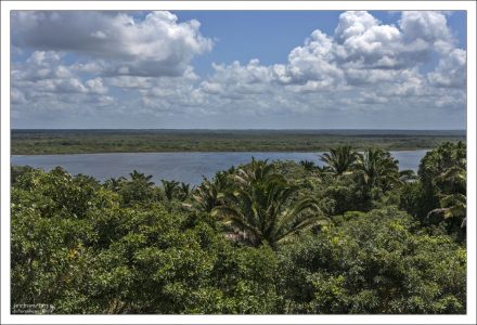 Новая река, с высоты High Temple. В свое время, это было самое высокое здание Месоамерики, хорошо видное всем, кто путешествовал по торговому маршруту реки.