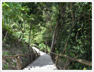 Боковая лестница для облегченного подъема на пирамиду.