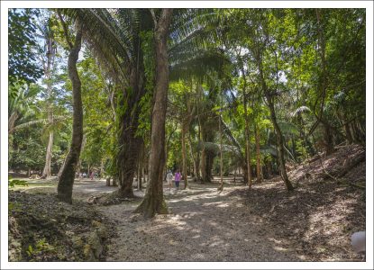 Ламанаи начал раскапывать в 1974 году Дэвид Пендергаст из Королевского музея Онтарио.