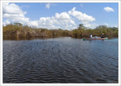Обратный путь по Новой реке.