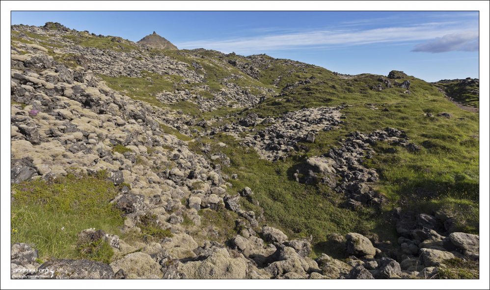 Очень хрупкая экосистема из камней и мха.