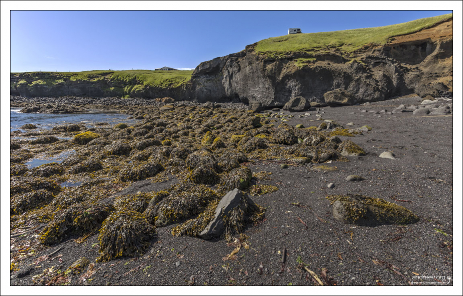 Морские водоросли на пляже в Хедльнаре. Долгое время Хедльнар являлся основным пунктом для захода рыболовных судов на полуострове.