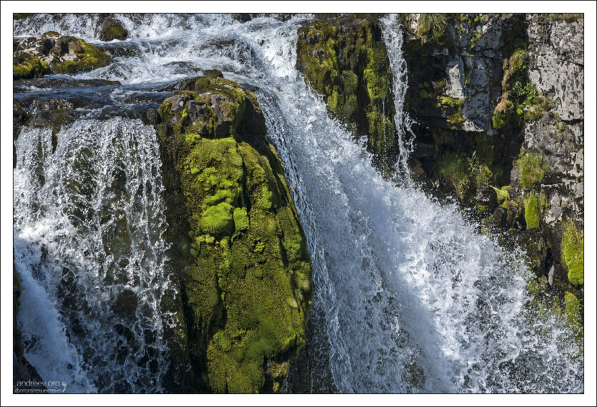 Яркий мох в струях водопада Kirkjufellsfoss.