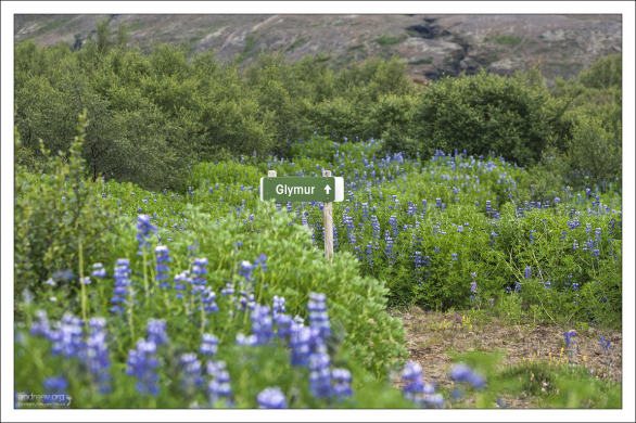 Указатель на тропу к водопаду Glymur.
