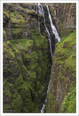 Очень яркий мох на стенах каньона.