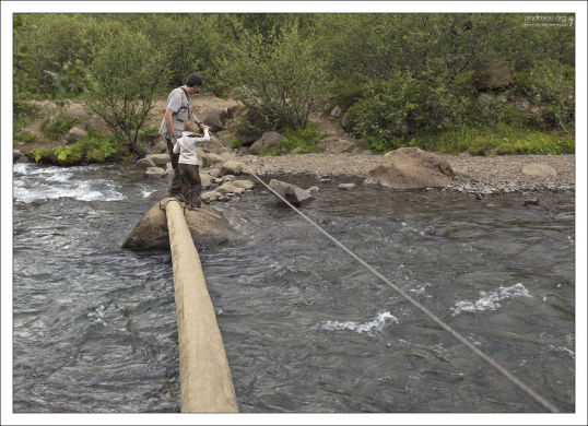 Импровизированный мост в виде бревна.