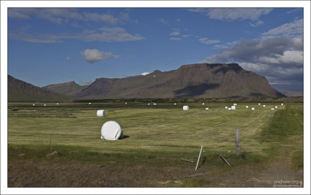 Сено в упаковке.