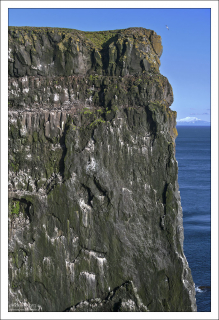 Лаутрабьярг – это 14 километров сплошных утёсов.