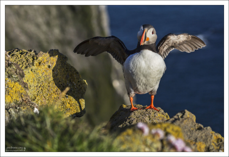 "Бывает, проснешься, как птица..."