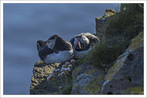 Тупики в пентхаузе.