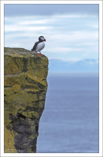 Тупик оглядывает свои угодья.