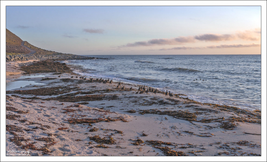 Некое подобие заката в районе 11 вечера.