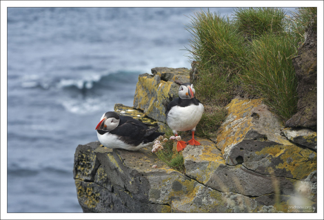 Утренние заспанные тупики.