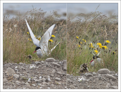 Мама вернулась с рыбалки.