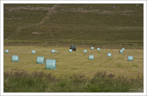 Трактор за работой.