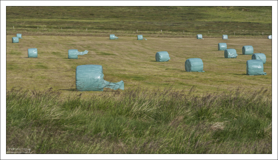 Сенаж - запаивание тюков с сеном в пластик.