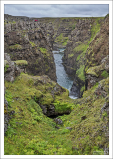 Яркая растительность в каньоне Kolugljúfur.