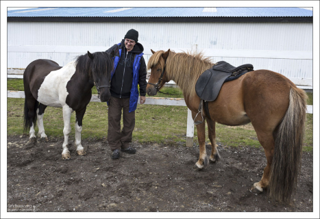 В конюшне Hesta Sport.