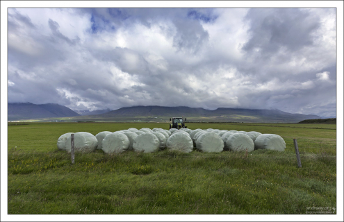 Трактор собрал урожай.