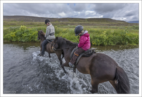 Благодаря хорошо развитому равновесию, исландские лошади легко преодолевают такие препятствия, как льды, острые камни или быстрые реки.