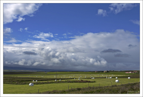 Большинство фермеров выбирает белый цвет для упаковки сена, потому как он сильнее отражает солнечный свет, и сено внутри остается менее подверженным температурным колебаниям.