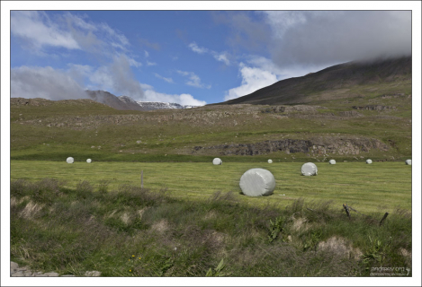 Коллекция серого сена.