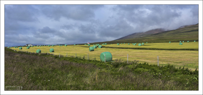 Что касается темных цветов – как говорят, солнечный нагрев расплавляет слои оберточного материала, создавая твердое покрытие, которое уменьшает проникновение кислорода. Сену на пользу.