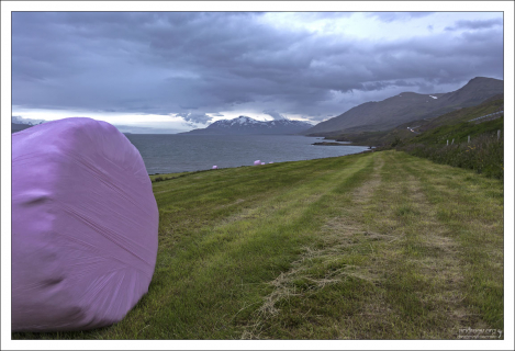 С каждого проданного рулона, компания-производитель упаковки жертвует 1 евро на исследования рака груди.