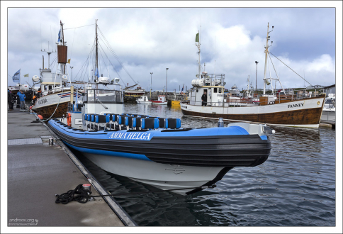 Высокоскоростной катер для охоты за китами. Только для тех, кому больше 10 лет.