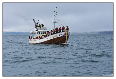 Раньше подобного типа суда использовались для охоты на китов, теперь - в качестве круизных лодок.