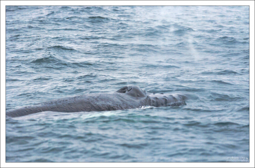 Легкое подобие фонтана.