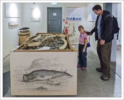 "Тактильный стол", где дети могут потрогать акулью кожу (как наждак), пощекотать китовый ус, «примерить» плавники и бивни.