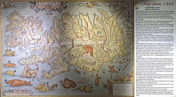 Старинная карта с морскими чудовищами.