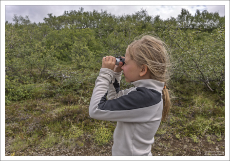 Саша выглядывает троллей на маршруте через долину :)