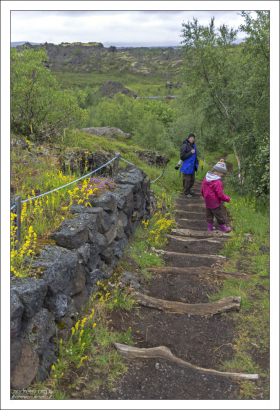 Редкая для Исландии прогулка через лес (!).