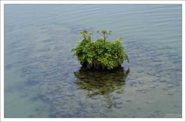 Везде жизнь :)