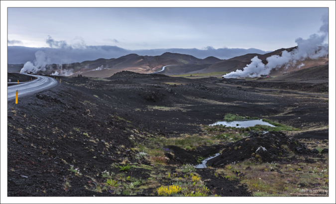Растительность начинает потихоньку пробиваться через лавовые поля.