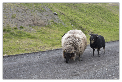 Вкусный соленый гравий.