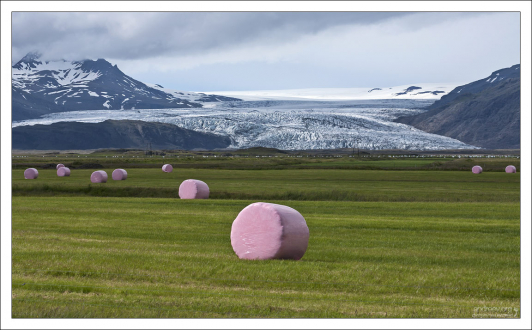 Сено в розовой упаковке на фоне ледника.