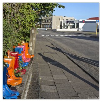 Яркие резиновые сапоги, они же горшки - для цветов. На улицах Хофна.