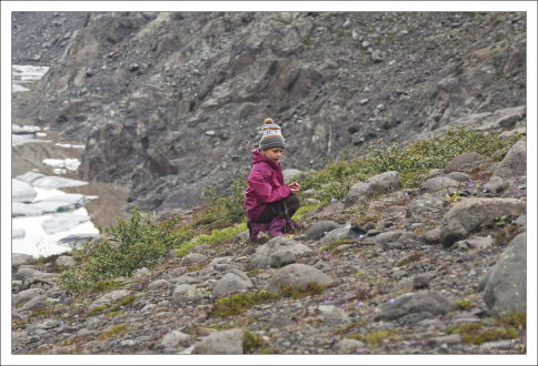 Саша собирает шикшу в Хоффелле.