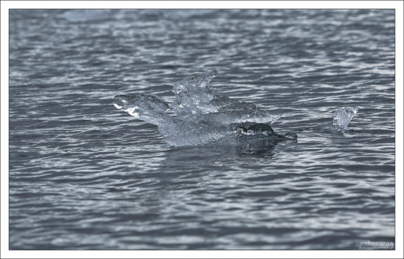 Ледяная "птица" на взлете.